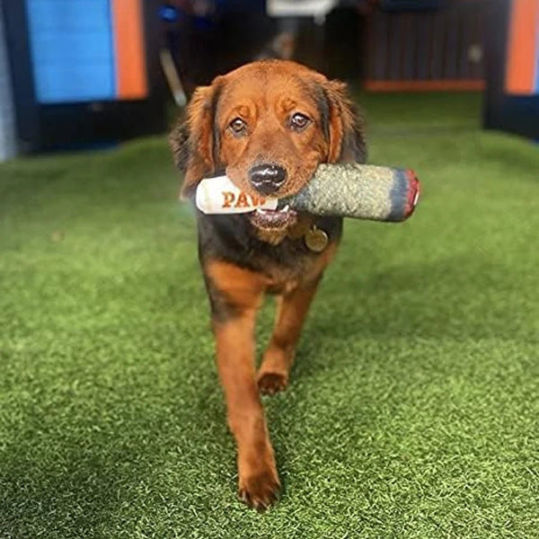 Happy Puff Cigar Dog Toy