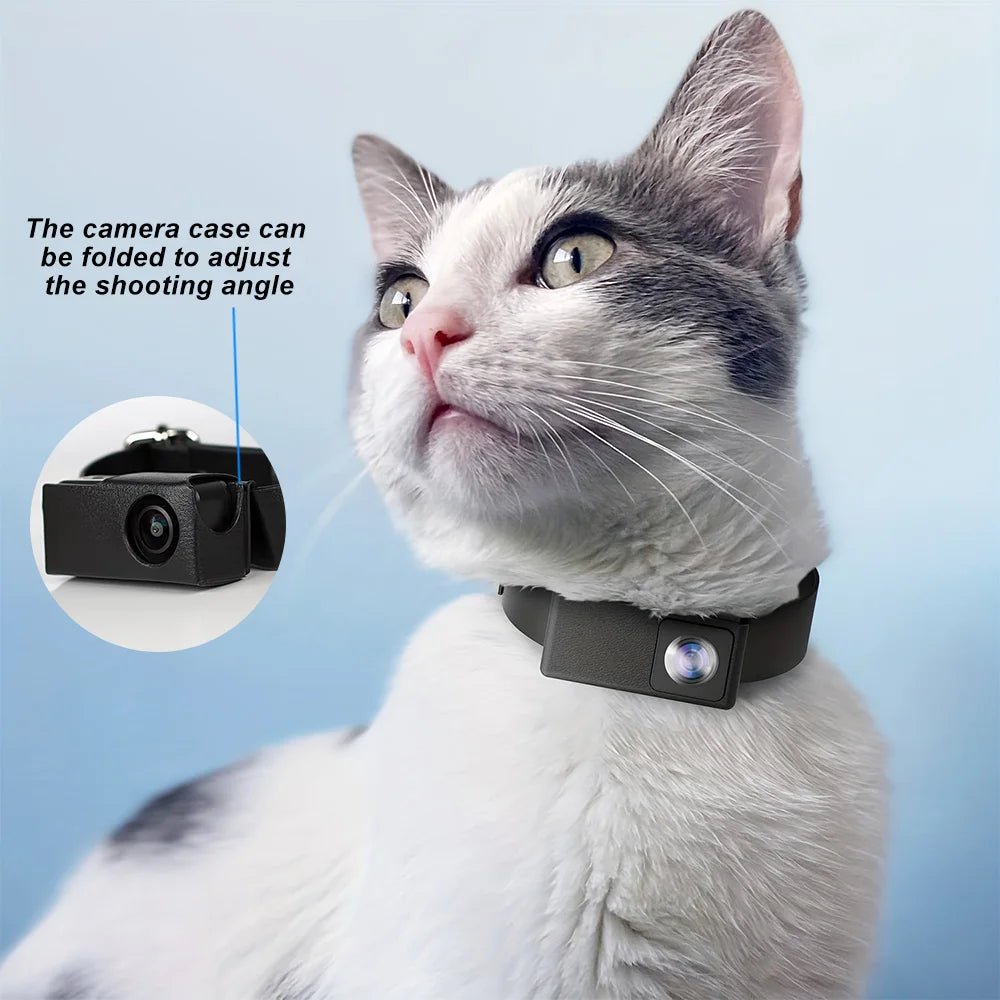 ClipCam Pet Vlog Collar Camera - Trendy Milk